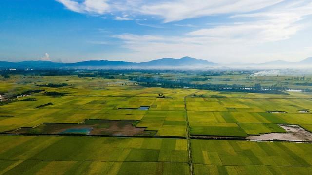 Hà Nội tập trung phát triển nông sản có tiềm năng xuất khẩu- Ảnh 1.