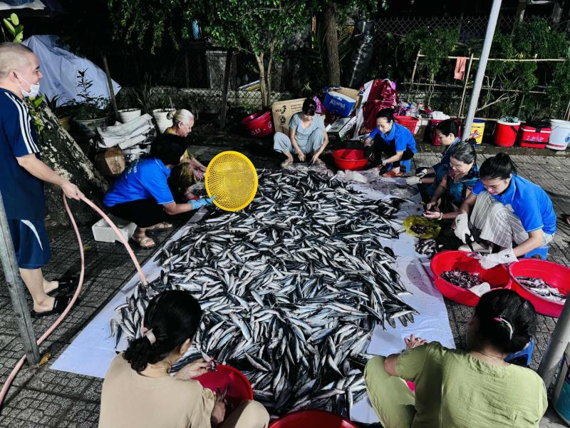 300 kg cá nục từ cố đô Huế gửi đến người dân vùng lũ Thái Nguyên - Ảnh 1.