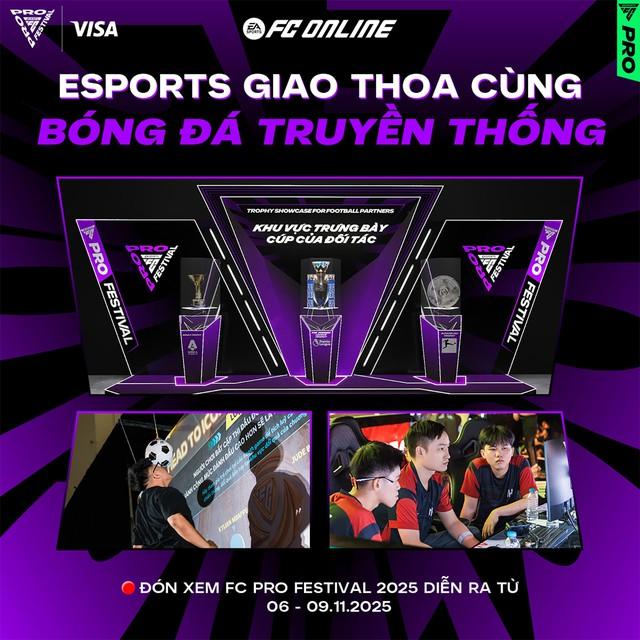 Fc Pro Festival 2025 - Hai huyền thoại bóng đá thế giới: Ricardo Kaka & Luis Figo - Ảnh 3.