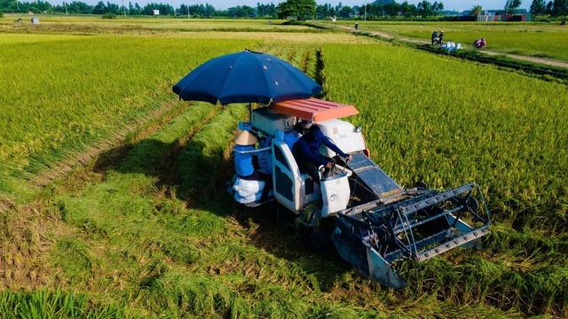 Hà Nội muốn chi gần 900 tỉ đồng/năm hỗ trợ chính sách phát triển nông nghiệp, nông thôn- Ảnh 2.