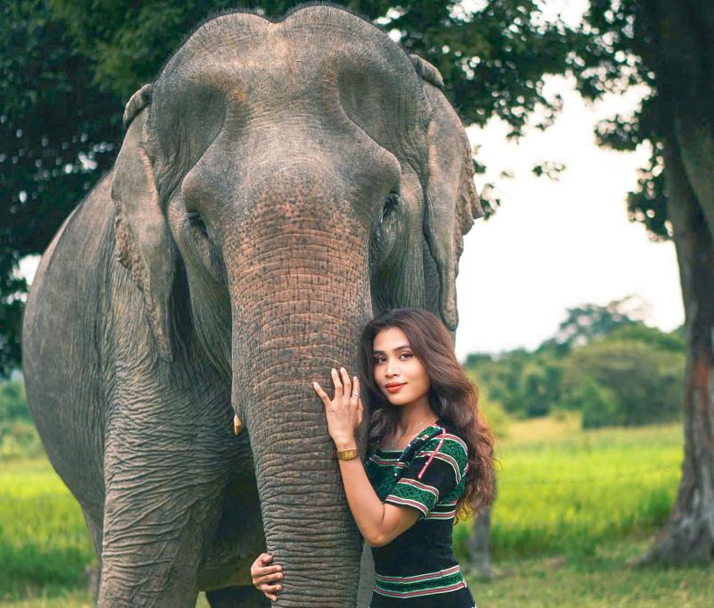 Voi nhà H’Tâu và đôi mắt ‘biết nói’  - Ảnh 4.