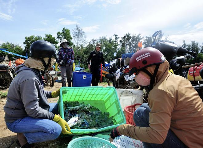 Làng chài thôn Hồ Lân - Ảnh 5.