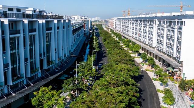 Gỡ vướng cho đất giáo dục, y tế- Ảnh 1.