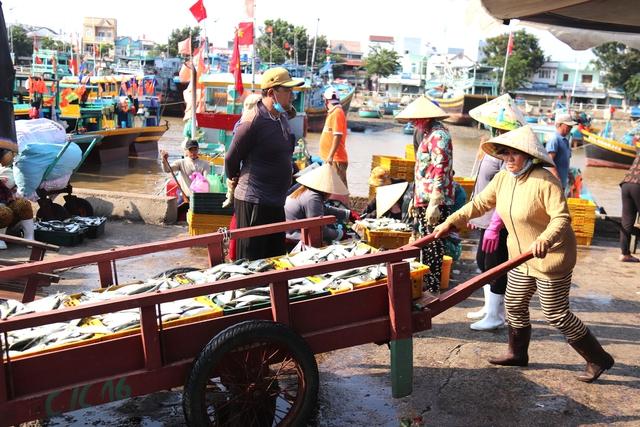 Lâm Đồng siết chặt quản lý đội tàu, quyết liệt ngăn chặn vi phạm IUU- Ảnh 3.