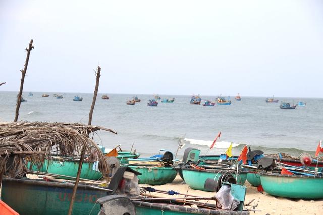 Lâm Đồng siết chặt quản lý đội tàu, quyết liệt ngăn chặn vi phạm IUU- Ảnh 1.