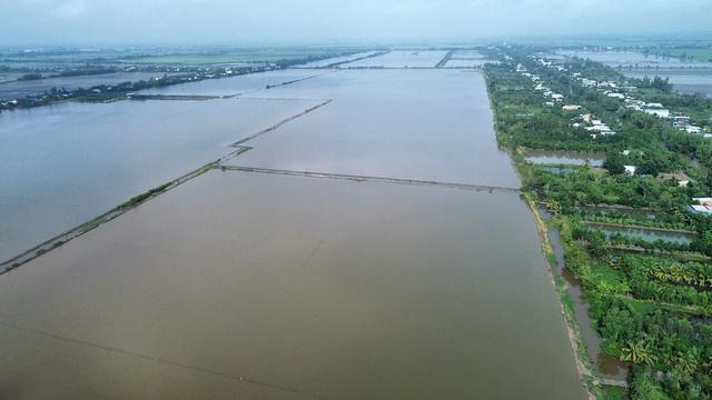 Tây Ninh: Mưa lũ khẩn cấp, nước sông Vàm Cỏ Đông vượt báo động III- Ảnh 1.