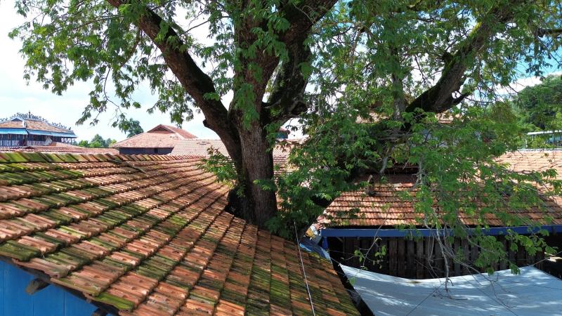 Nhà lớn Long Sơn có cây me trăm tuổi ở đâu, lồng liệt có gì lạ? - Ảnh 11.