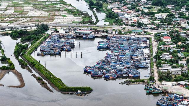 Vi phạm hàng loạt trong lĩnh vực hải sản, thuyền trưởng bị phạt gần 700 triệu đồng- Ảnh 1.