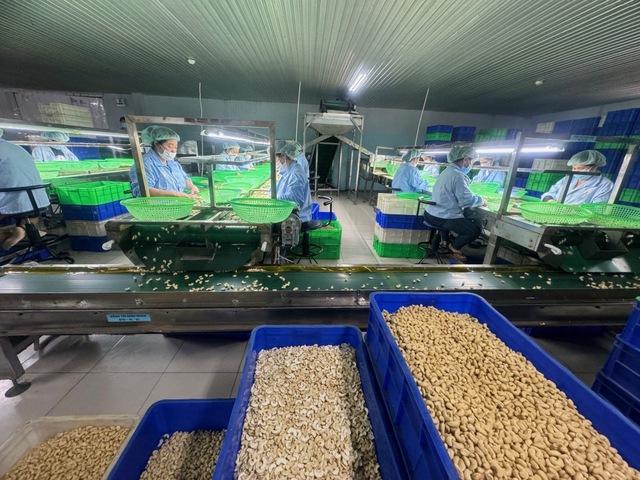 Những quy định tréo ngoe chờ tháo gỡ- Ảnh 1.