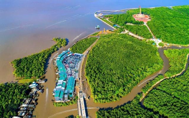 Đột phá hạ tầng, Cà Mau khẳng định vị thế cực tăng trưởng- Ảnh 3.