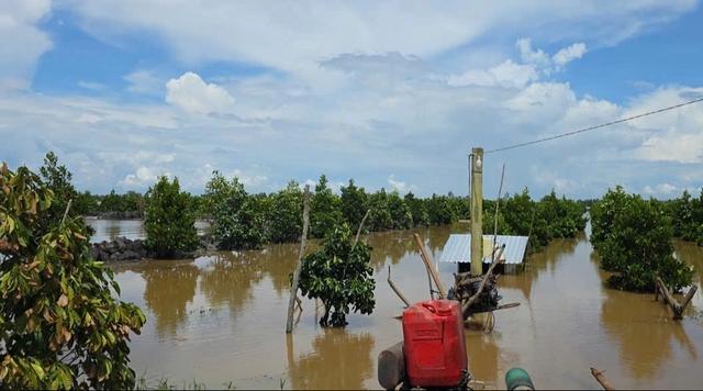 Đồng Tháp Mười, tỉnh Tây Ninh 'oằn mình' chống mưa lũ- Ảnh 2.