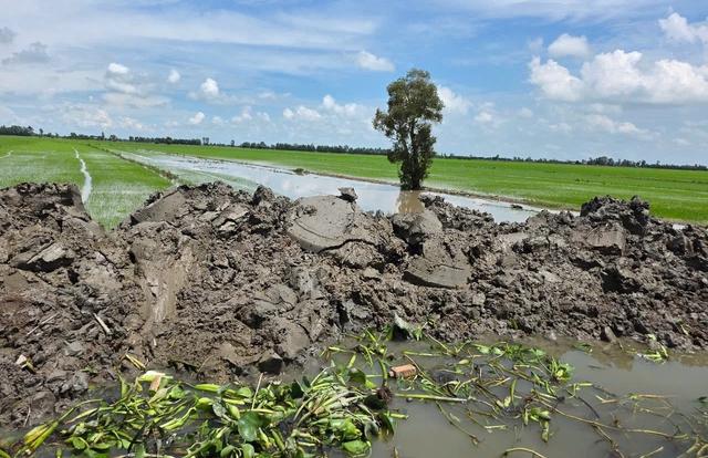 Đồng Tháp Mười, tỉnh Tây Ninh 'oằn mình' chống mưa lũ- Ảnh 4.