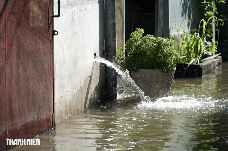 Triều cường dâng cao, người dân hẻm ở TP.HCM thức trắng đêm bơm nước ngập - Ảnh 7.