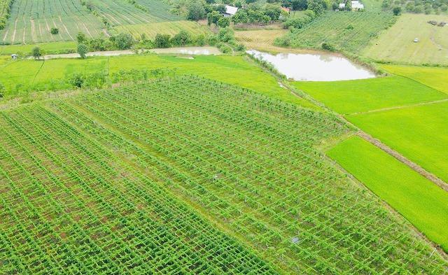 Chung dòng máu Lạc Hồng: Già làng giữ lửa nơi biên cương - Ảnh 2.