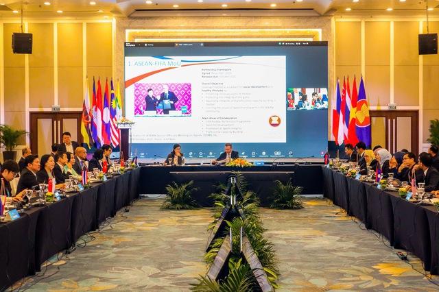 FIFA đã đầu tư 34 triệu USD cho bóng đá Đông Nam Á: Việt Nam được gì?- Ảnh 1.