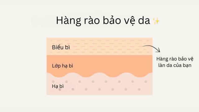 Hàng rào bảo vệ da là gì? Cách bảo toàn hàng rào da chuẩn y khoa- Ảnh 1.