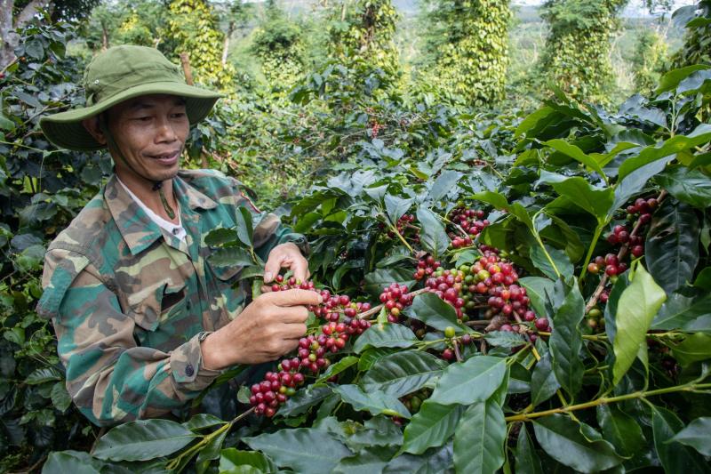 Bứt lên phía trước bằng nông nghiệp xanh - Ảnh 3.