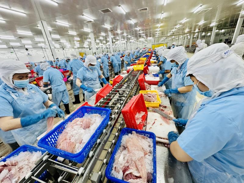 Bước tiến mới trong thuế đối ứng Mỹ - Việt- Ảnh 2.