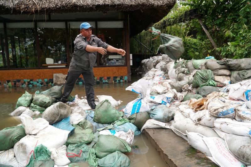 Dân TP.HCM 'nhẹ người' vì nắng ấm- Ảnh 1.