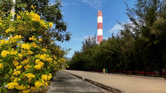EVNGENCO3: đảm bảo vận hành ổn định, hiệu quả trong 10 tháng đầu năm 2025  - Ảnh 2.