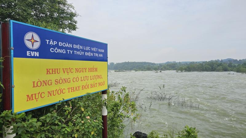 Cá 'ngửi' mùi nước khi thủy điện Trị An xả lũ, nhiều người mạo hiểm đi bắt- Ảnh 7.