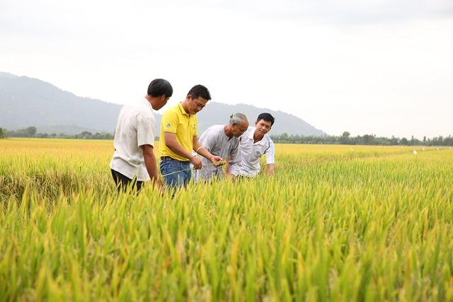 Việt Nam tăng tốc xuất khẩu sang Campuchia- Ảnh 1.