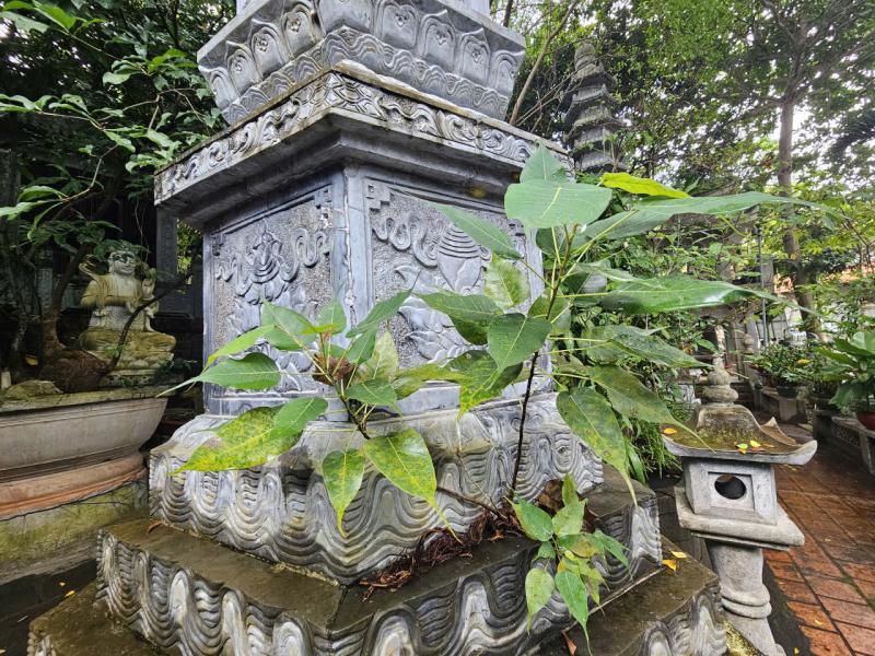 Hình ảnh chùa Linh Phong Thiền Uyển, nơi trưởng lão hòa thượng Thích Trí Tịnh khai sơn - Ảnh 24.