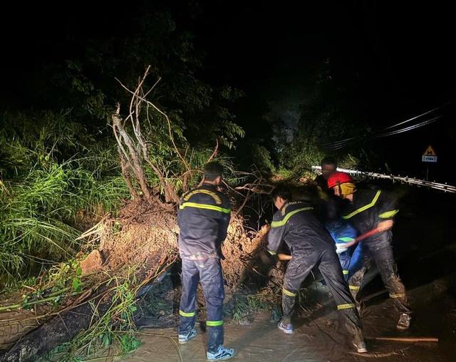 Đường nối Khánh Hòa - Lâm Đồng có 14 điểm sạt lở do mưa lớn- Ảnh 1.