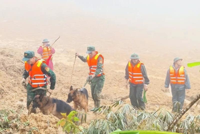 Sạt lở núi ở Đà Nẵng: Đưa chó nghiệp đến hiện trường tìm người mất tích - Ảnh 5.