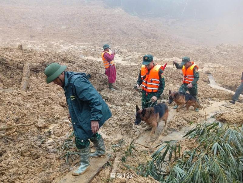 Sạt lở núi ở Đà Nẵng: Đưa chó nghiệp đến hiện trường tìm người mất tích - Ảnh 6.