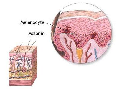 Cải thiện thâm mụn trong 4 tuần với một bước chăm da cuối cùng - Ảnh 2.