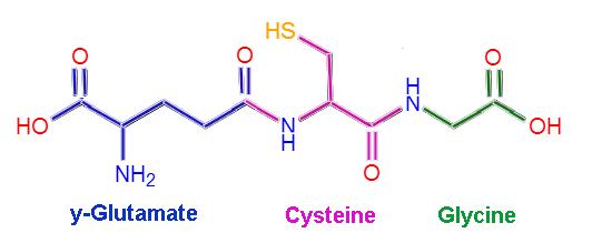 Glutathione là gì? Có thật sự mang lại hiệu quả làm trắng da không mà hot vậy? - Ảnh 2.