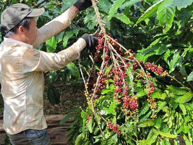 Mặt hàng nào sẽ hưởng lợi khi Mỹ miễn thuế đối ứng?- Ảnh 2.