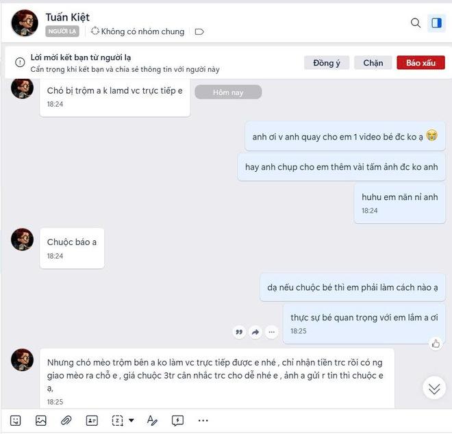 Nhức nhối trộm chó, mèo ở TP.HCM - Kỳ 2: Dùng AI tạo chó giả để lừa tiền chuộc- Ảnh 7.