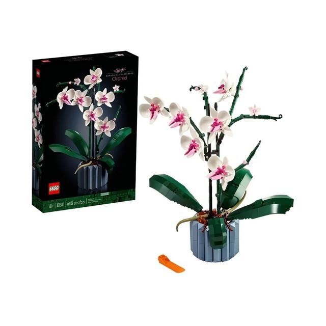 Tôn vinh ngày Nhà giáo Việt Nam 20.11: Lan tỏa niềm vui học tập và sáng tạo - Ảnh 4.
