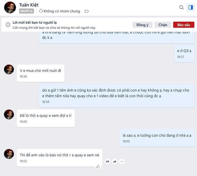 Nhức nhối trộm chó, mèo ở TP.HCM - Kỳ 2: Dùng AI tạo chó giả để lừa tiền chuộc- Ảnh 9.
