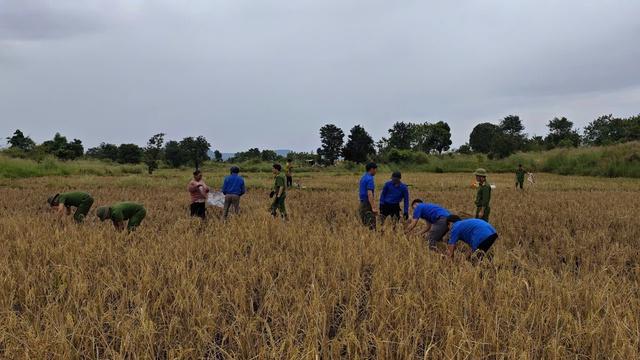 Đoàn viên thanh niên Gia Lai hỗ trợ người dân phòng , chống bão Kalmaegi an toàn - Ảnh 2.