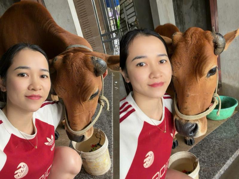 Chuyện hai mẹ con bò đi tránh lũ bất ngờ về nhà khiến chủ ứa nước mắt - Ảnh 4.