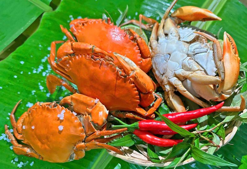 Cua yếm vuông Cà Mau: Món đặc sản khiến dân sành ăn bỏ cua gạch - Ảnh 3.