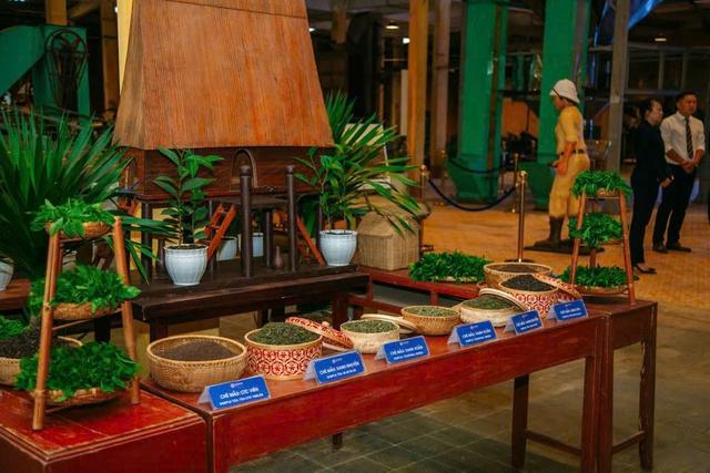 Thi khởi nghiệp về trà Việt- Ảnh 1.
