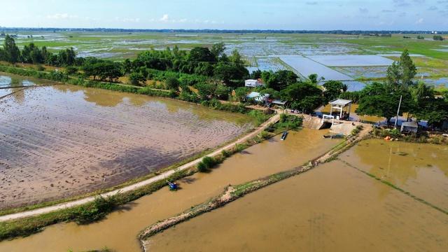 Giải pháp chống ngập lụt ĐBSCL: Sụt lún đất và hướng đi thuận thiên - Ảnh 5.