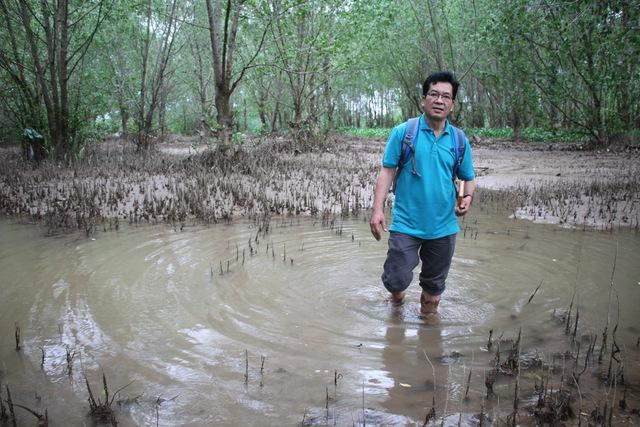 Giải pháp chống ngập lụt ĐBSCL: Sụt lún đất và hướng đi thuận thiên - Ảnh 6.