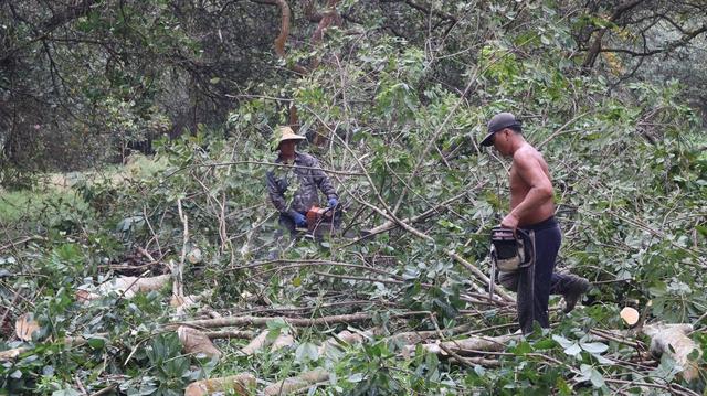 Nhận 21 tỉ đồng, bàn giao ngay đất dự án cao tốc Gia Nghĩa - Chơn Thành- Ảnh 3.