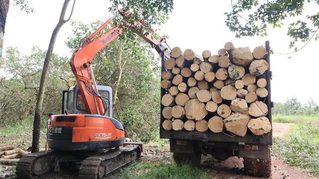Nhận 21 tỉ đồng, bàn giao ngay đất dự án cao tốc Gia Nghĩa - Chơn Thành- Ảnh 4.