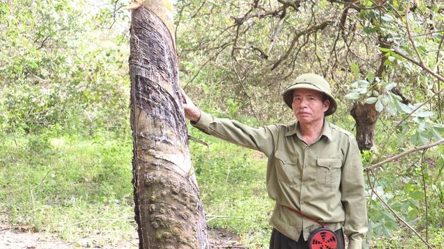 Nhận 21 tỉ đồng, bàn giao ngay đất dự án cao tốc Gia Nghĩa - Chơn Thành- Ảnh 5.