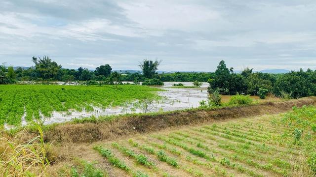 Đồng Nai: Thủy điện xả tràn không báo trước gây ngập lụt, thiệt hại 40 tỉ đồng- Ảnh 1.