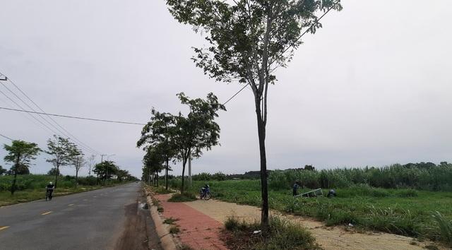  - Ảnh 2.