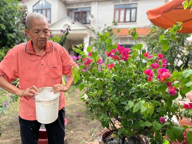 TP.HCM phát triển dưỡng lão bán trú: Sáng đi - chiều về, giảm gánh nặng gia đình - Ảnh 1.