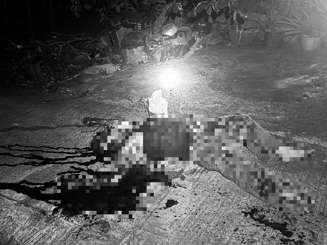  - Ảnh 1.