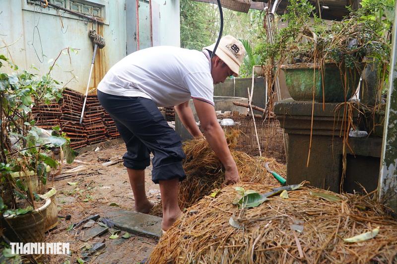 Trâu mắc kẹt trên mái nhà 5 ngày giữa rốn lũ hòa Thịnh , Đắk Lắk - Ảnh 11.